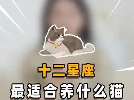 处女座养什么猫最好(处女座适合养什么宠物猫)