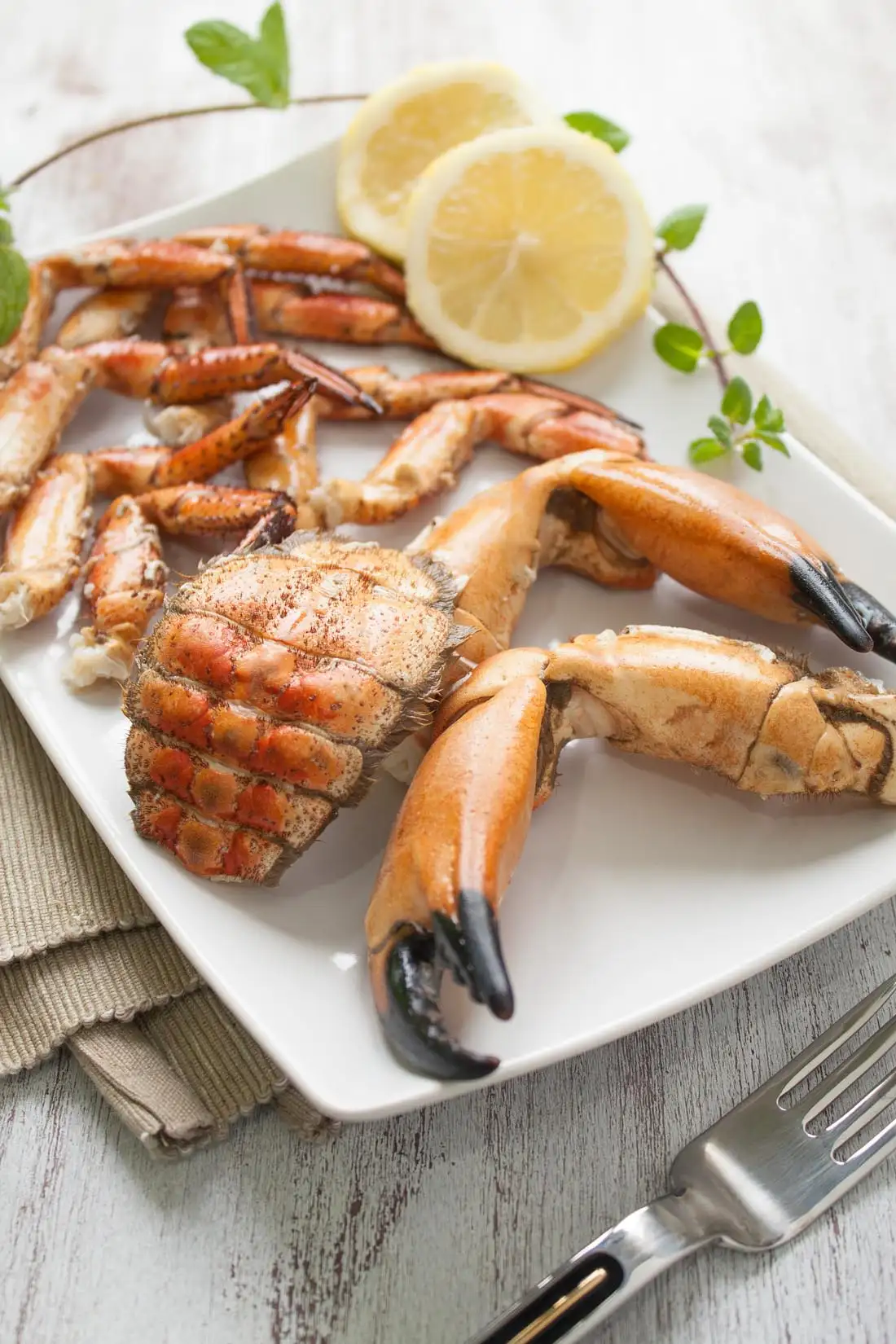 海边的螃蟹吃什么食物(海边螃蟹吃什么食物可以养活)