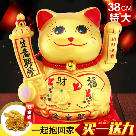 发财猫是什么品种(发财猫是什么品种的猫)