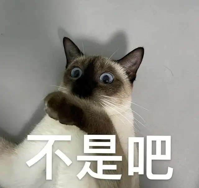 猫咪不喜欢什么味道(猫咪不喜欢什么味道无害)