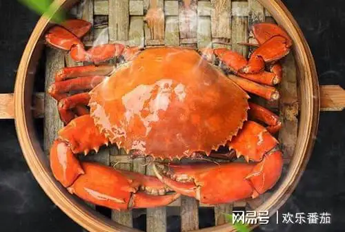 螃蟹跟什么食物相克容易中毒(螃蟹跟什么食物相克容易中毒死亡)