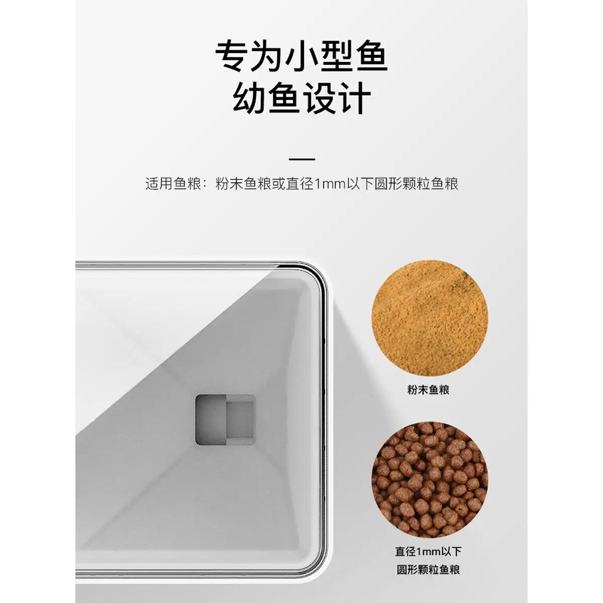 孔雀鱼喂食有什么讲究(孔雀鱼喂鱼食应该喂多少)