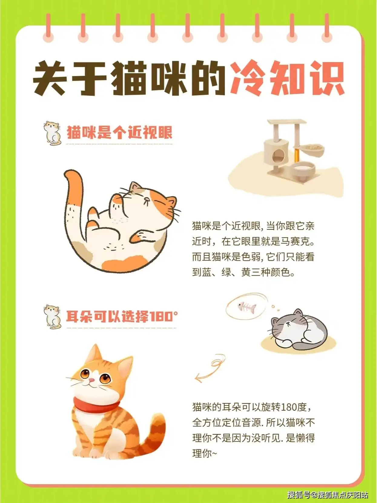 宠物猫的价及品种(宠物猫种类大全及价格排名)