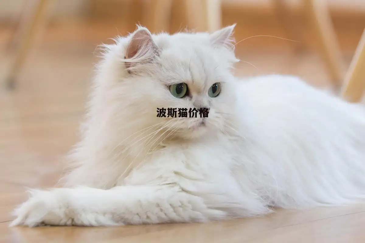 一只波斯猫大概价格多少(一只波斯猫大概价格多少钱)