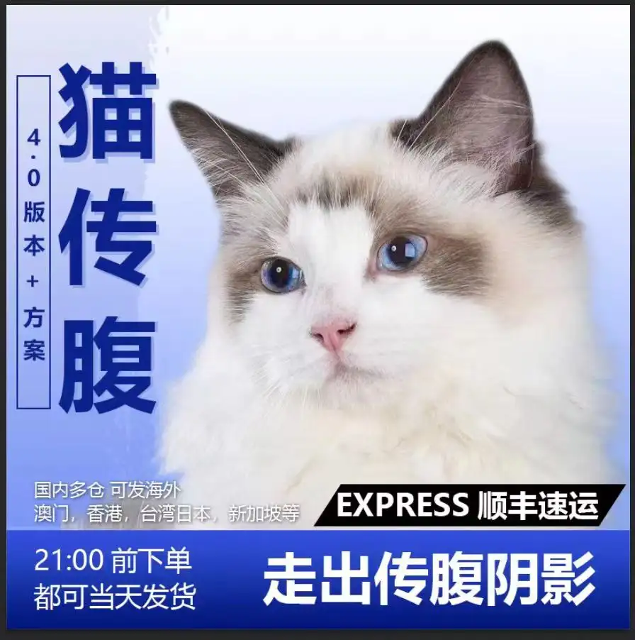 猫传腹吃得多(猫传腹吃多久护肝片)