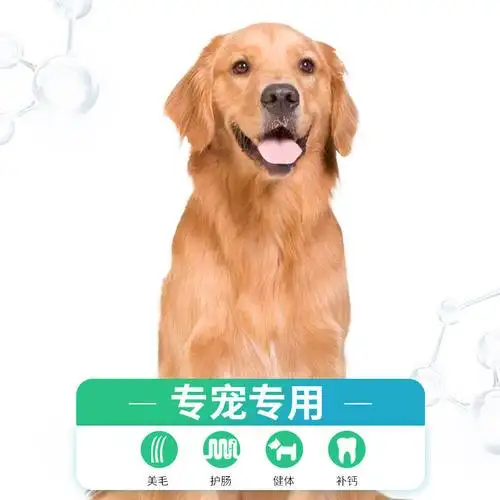 金毛吃什么狗粮毛色好(金毛犬吃什么?金毛吃什么狗粮好?)