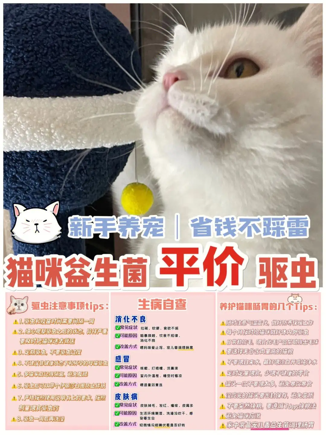 猫咪驱虫药吃几天(猫咪驱虫药要吃几次才能驱虫)