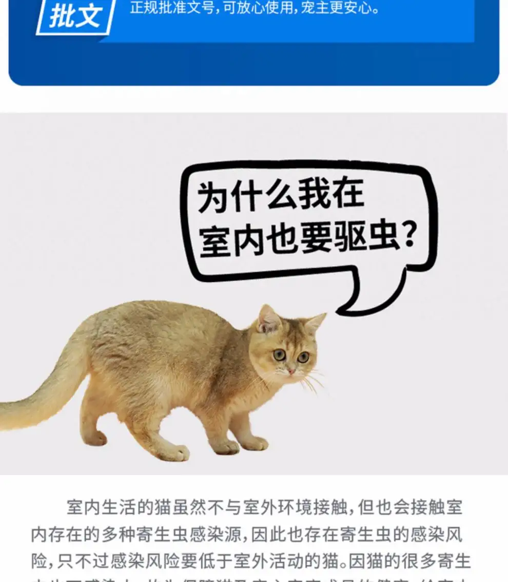 小猫咪的体内驱虫(小猫咪的体内驱虫多久一次)