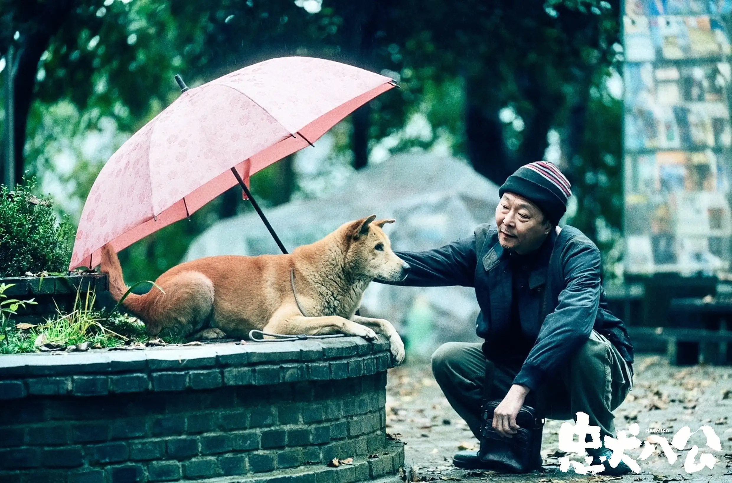 忠犬八公国语配音在线(忠犬八公中文版配音电影在线观看)