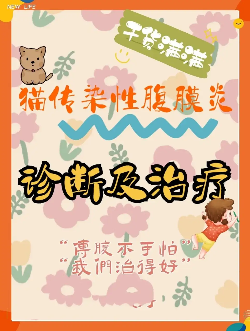 猫传腹怎么诊断(猫传腹如何判断已经治好)