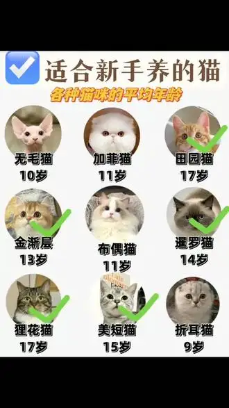 猫平均年龄(猫平均年龄是多少)