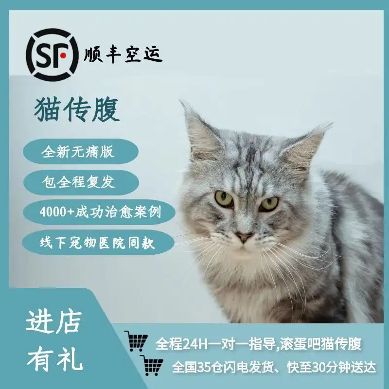 猫传腹猫腹水区别(猫传腹的腹水会自动消除吗)