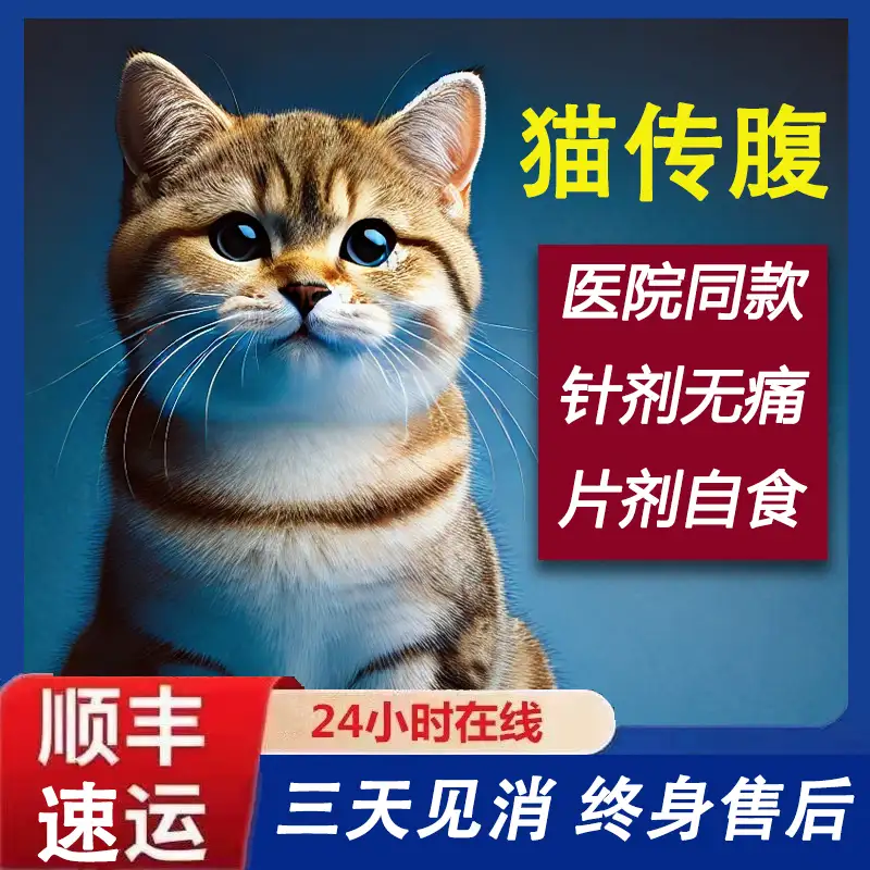 猫干性传腹什么症状(猫干性传腹需要怎样才能确诊)