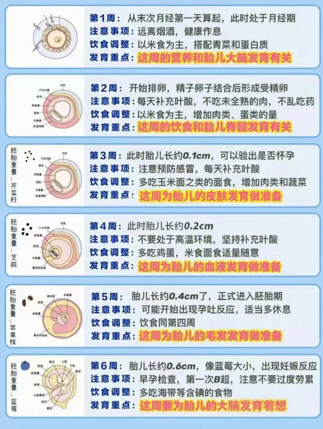 从怀孕到生产一共多少周(从怀孕到生产一共多少周期)