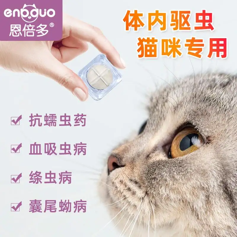 猫咪驱虫绦虫用什么药(绦虫用什么药驱虫最好猫用)