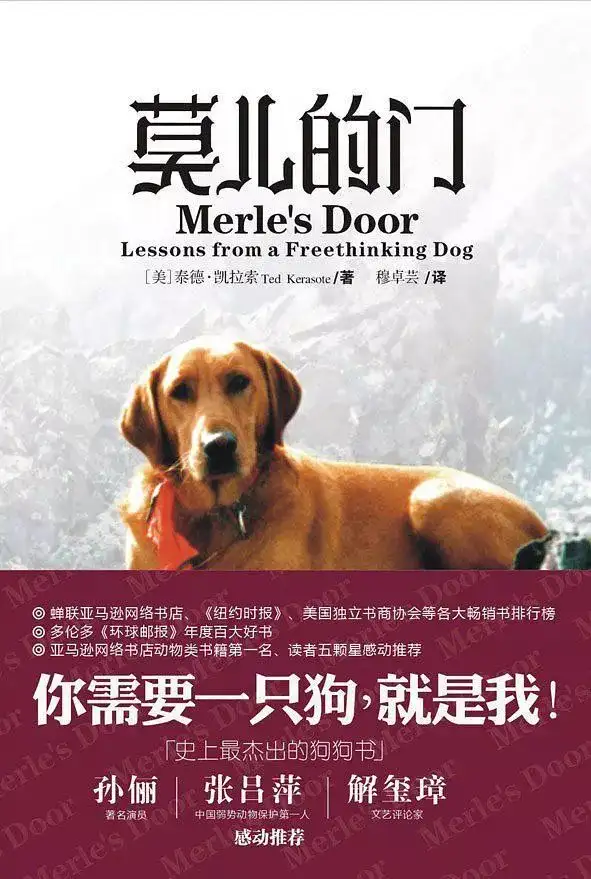 忠犬八公作者介绍(忠犬八公介绍英文图片)