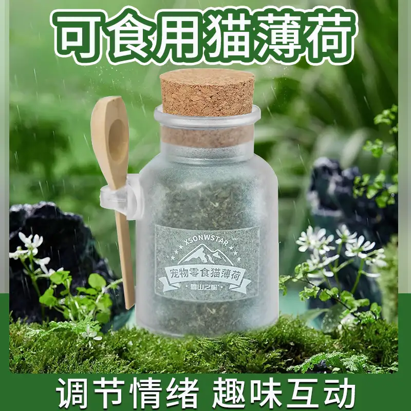 猫咪喜欢吃的猫薄荷有哪些(猫咪喜欢的猫薄荷到底是什么植物)