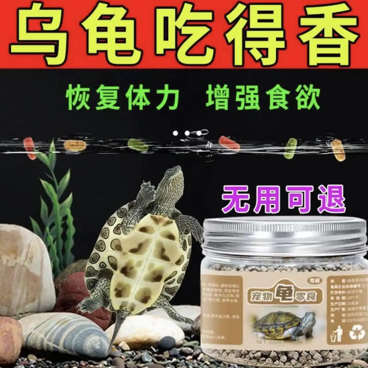 巴西龟一般几点进食(巴西龟每天什么时候睡觉)