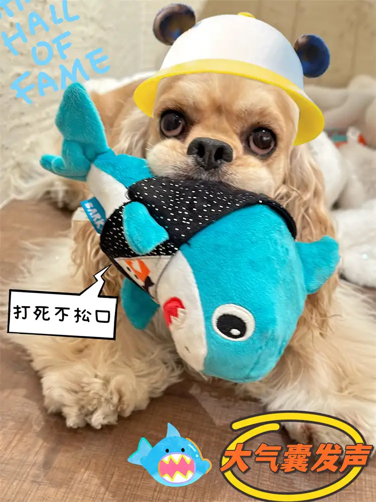 小型犬品牌有哪些(小型犬品种大全带名)