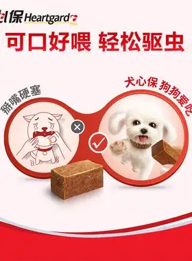 狗狗驱虫么(狗狗该驱虫的时候是什么反应)