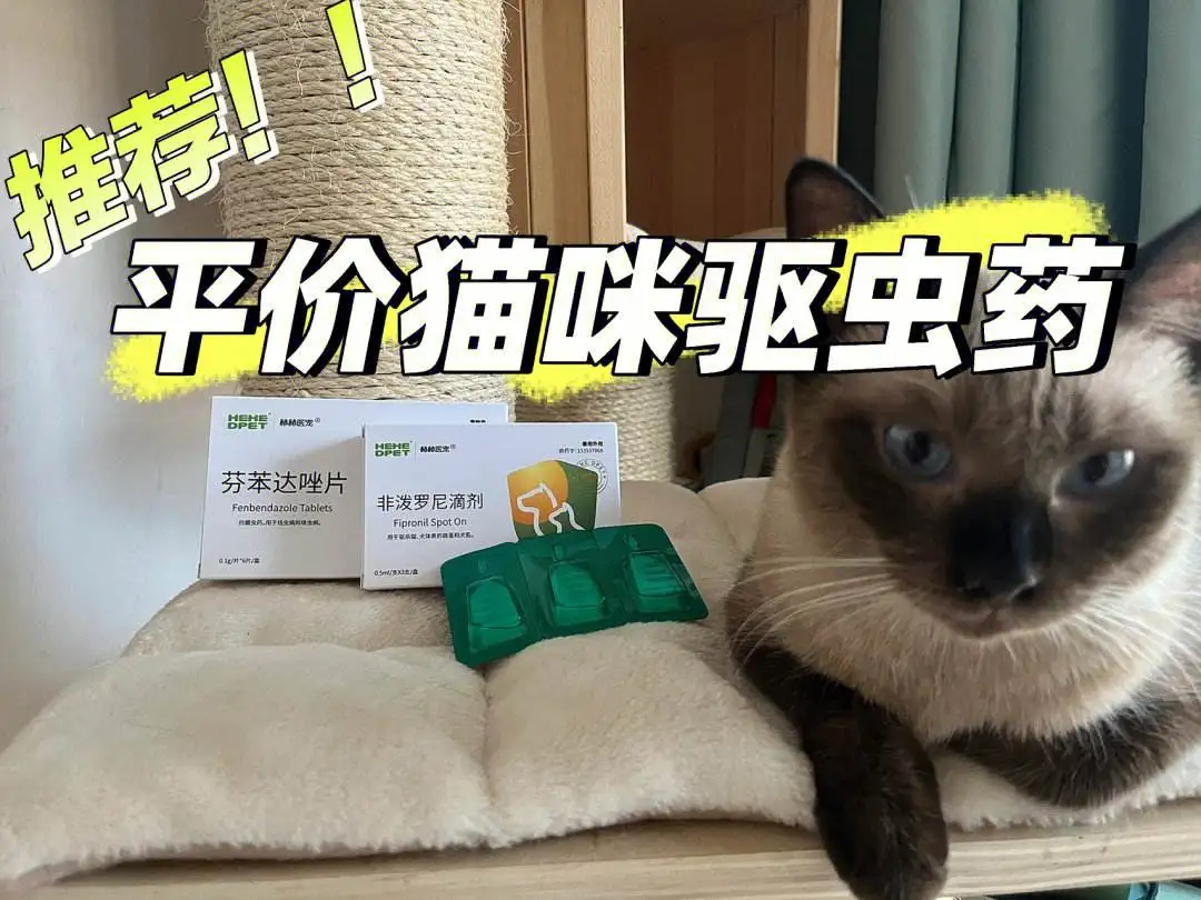 猫猫吃什么驱虫药(猫咪吃什么驱虫药比较有效果?)