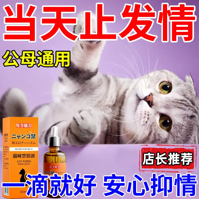 白猫是公猫还是母猫(纯白猫一般是公的母的)