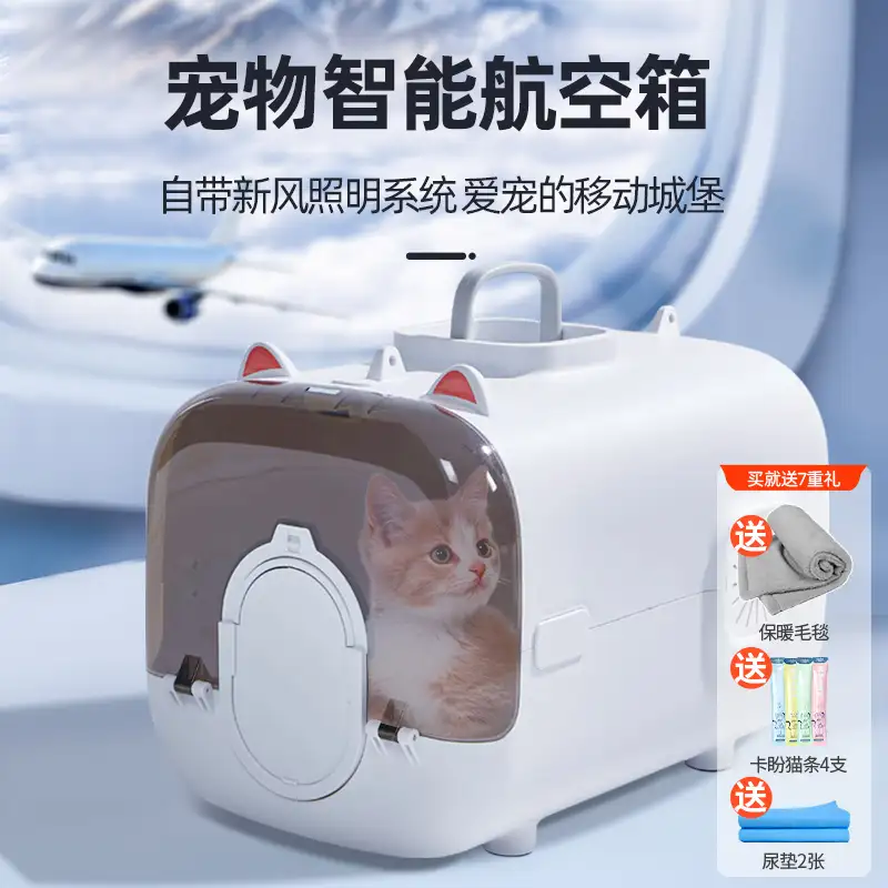 飞机可以托运猫咪品种(飞机可以托运宠物猫吗?)