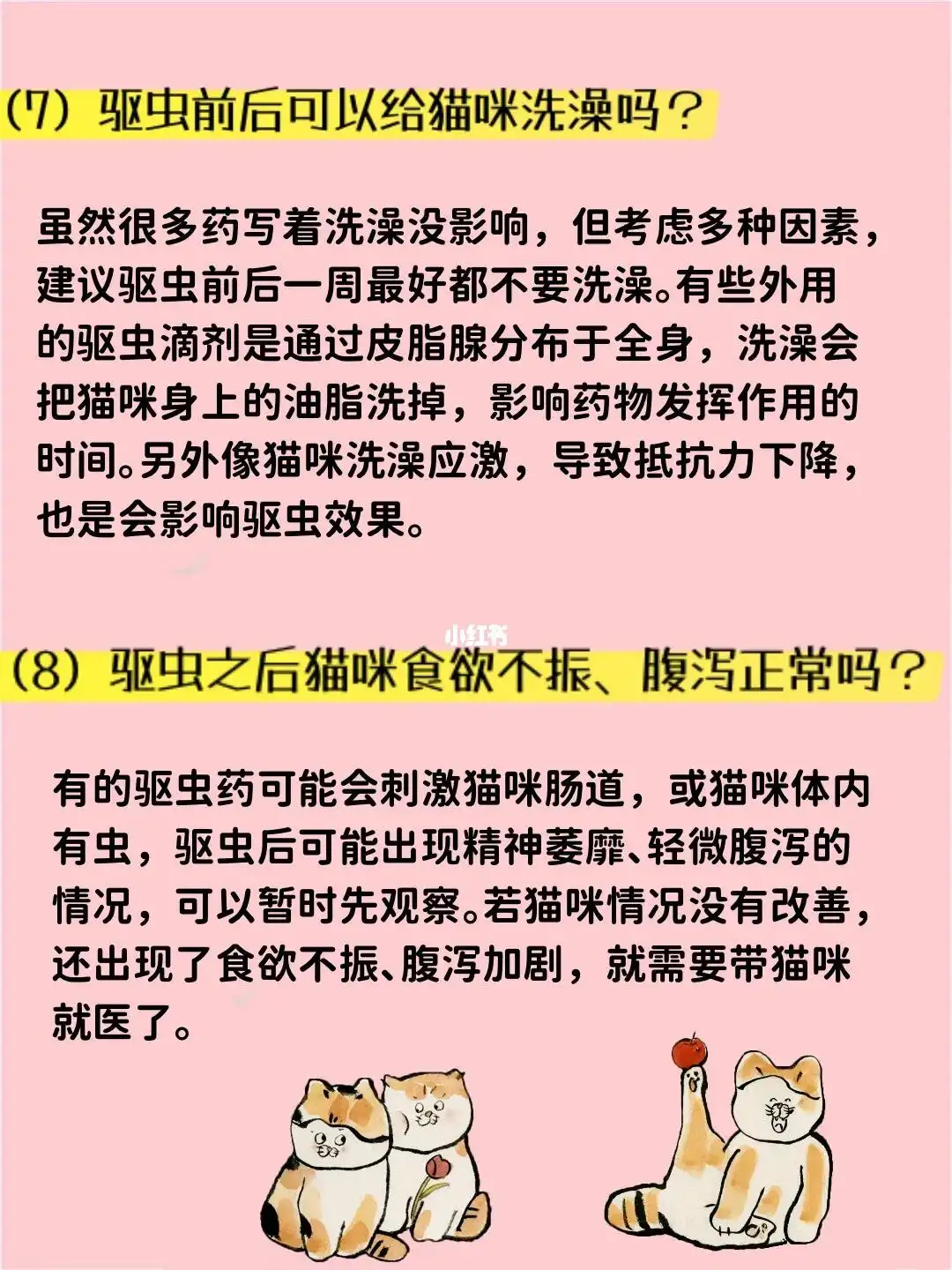 猫体内驱虫有什么反应(猫咪体内驱虫的不良反应)