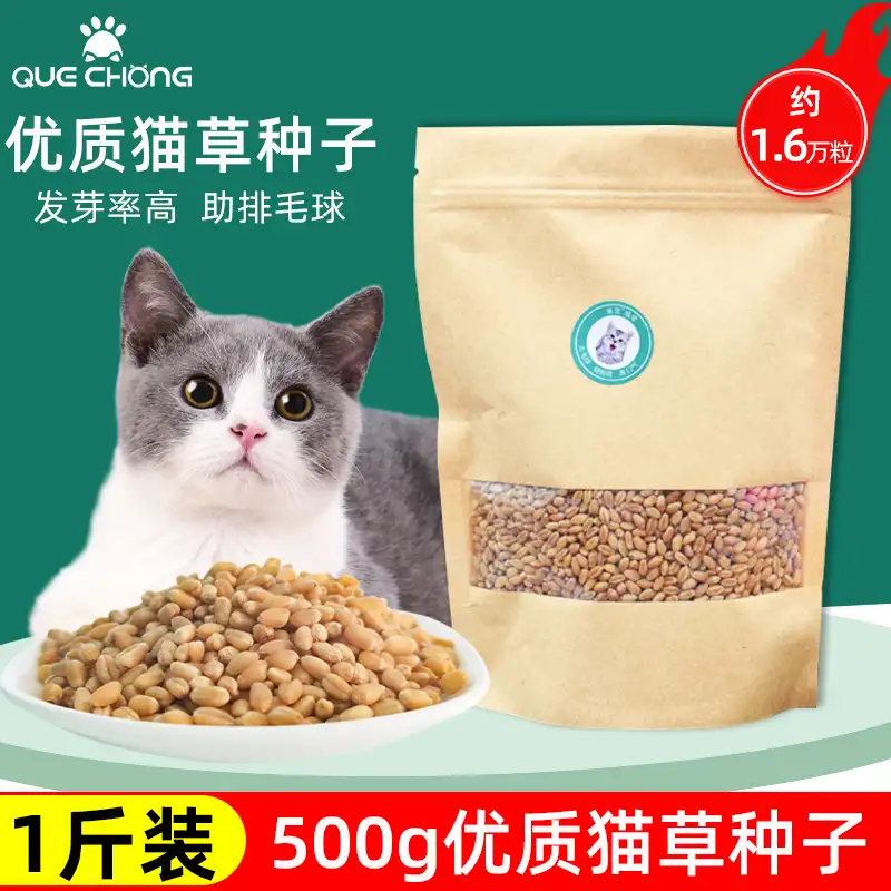 猫薄荷对猫咪的害处(猫薄荷对猫咪的害处大吗)