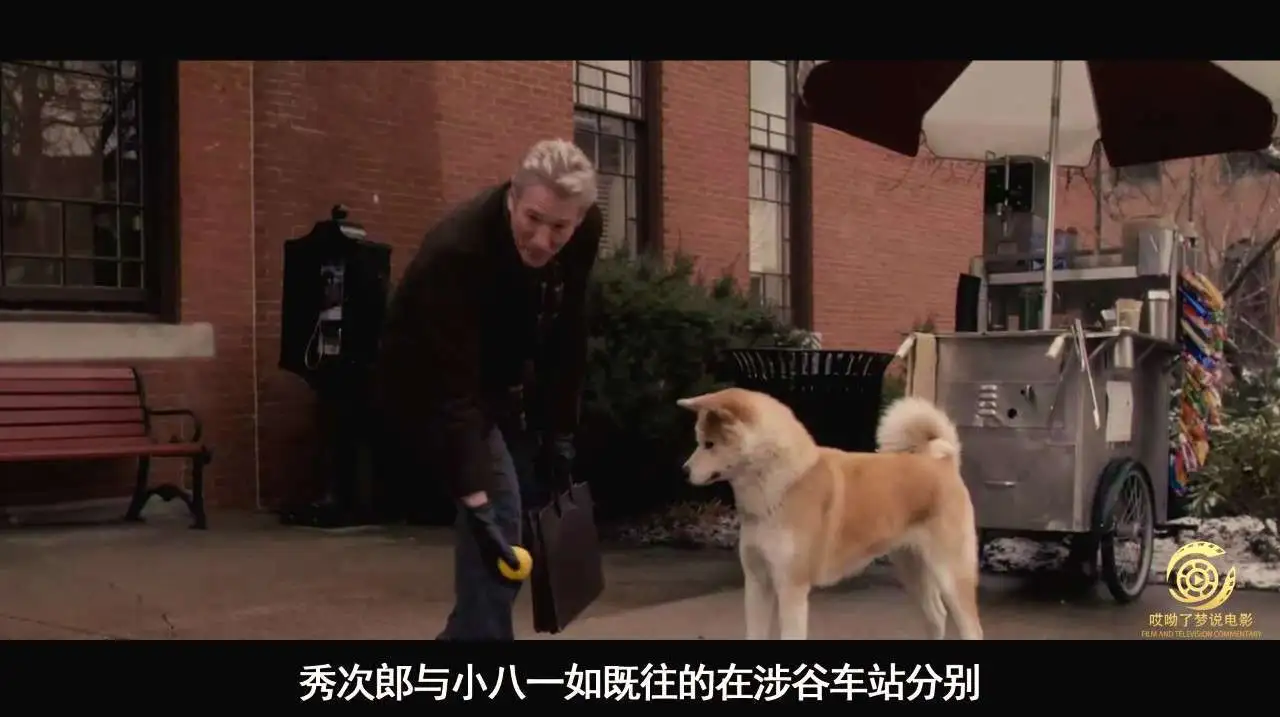 忠犬八公感人片段(忠犬八公感人片段剪辑)