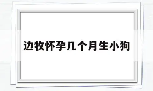 边牧怀孕几个月生小狗(边牧怀孕几个月生小狗啊)