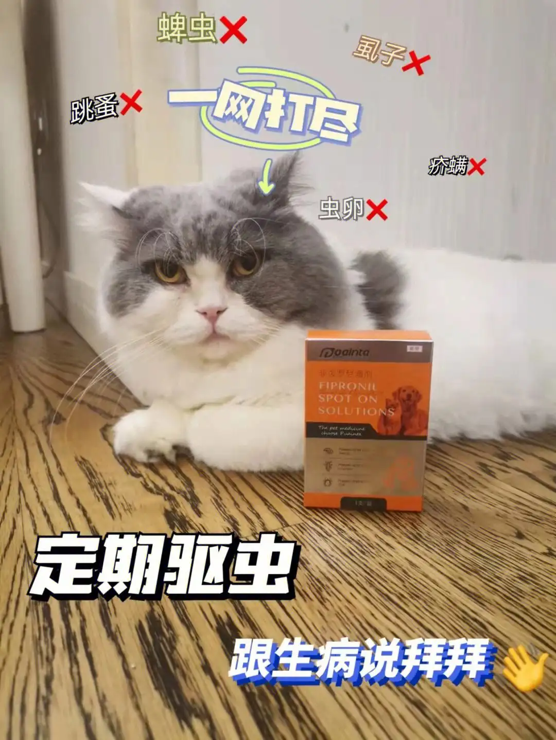 猫咪体内驱虫还是体外驱虫(猫咪体内驱虫还是体外驱虫好)