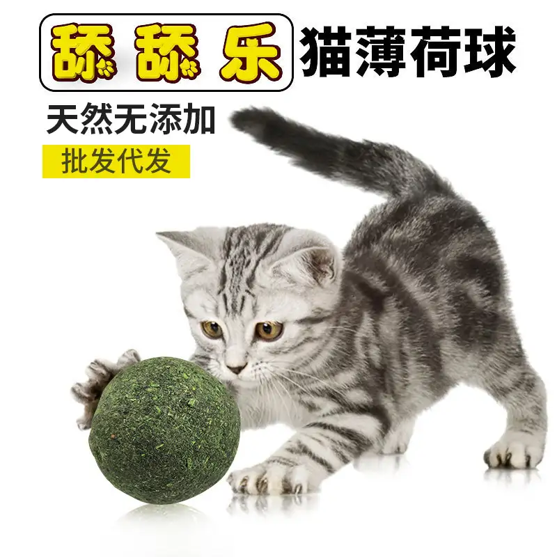 猫薄荷怎么用的(猫薄荷怎么用的图片)