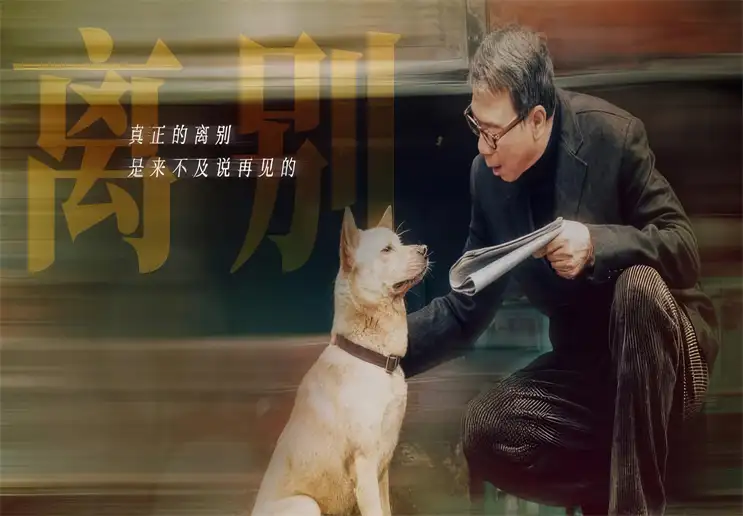 忠犬八公狗(忠犬八公狗的名字)