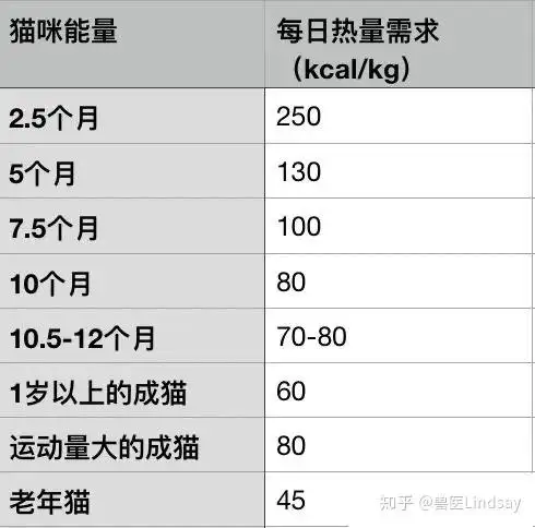 仓鼠寿命对照表(仓鼠寿命是多少?)