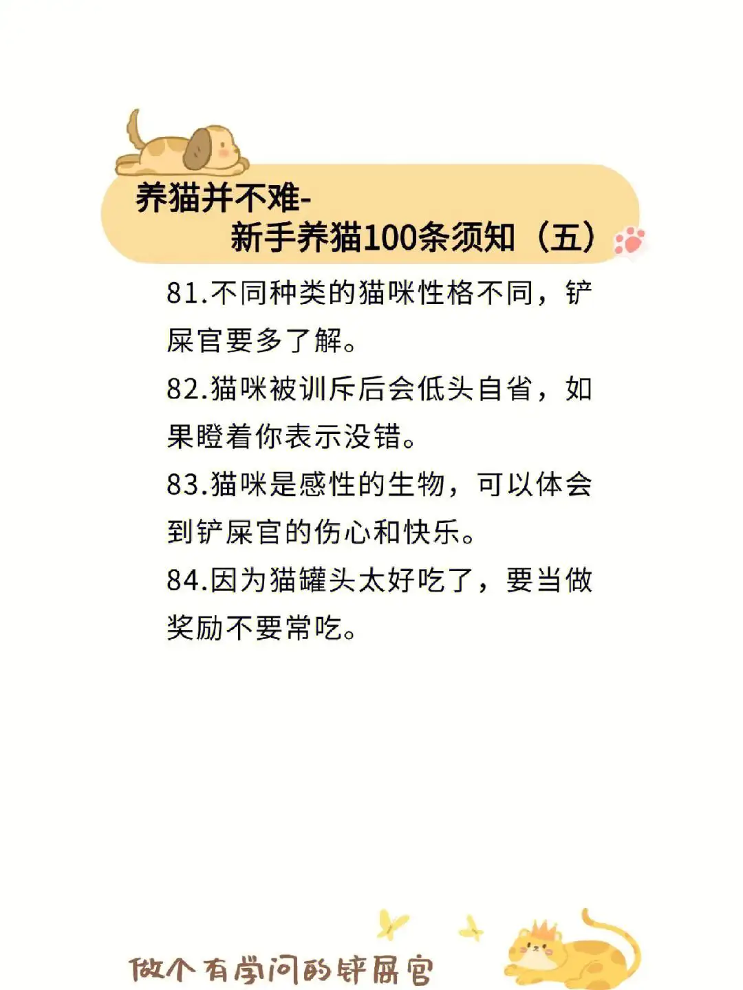 猫咪孕期注意事项(猫咪孕期注意事项和饮水)