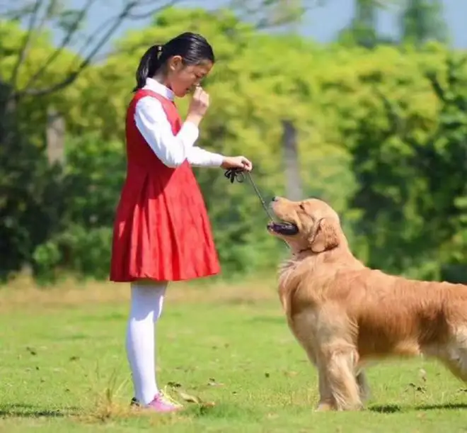 小孩子养宠物的好处和坏处(小孩子养宠物的好处和坏处图片)