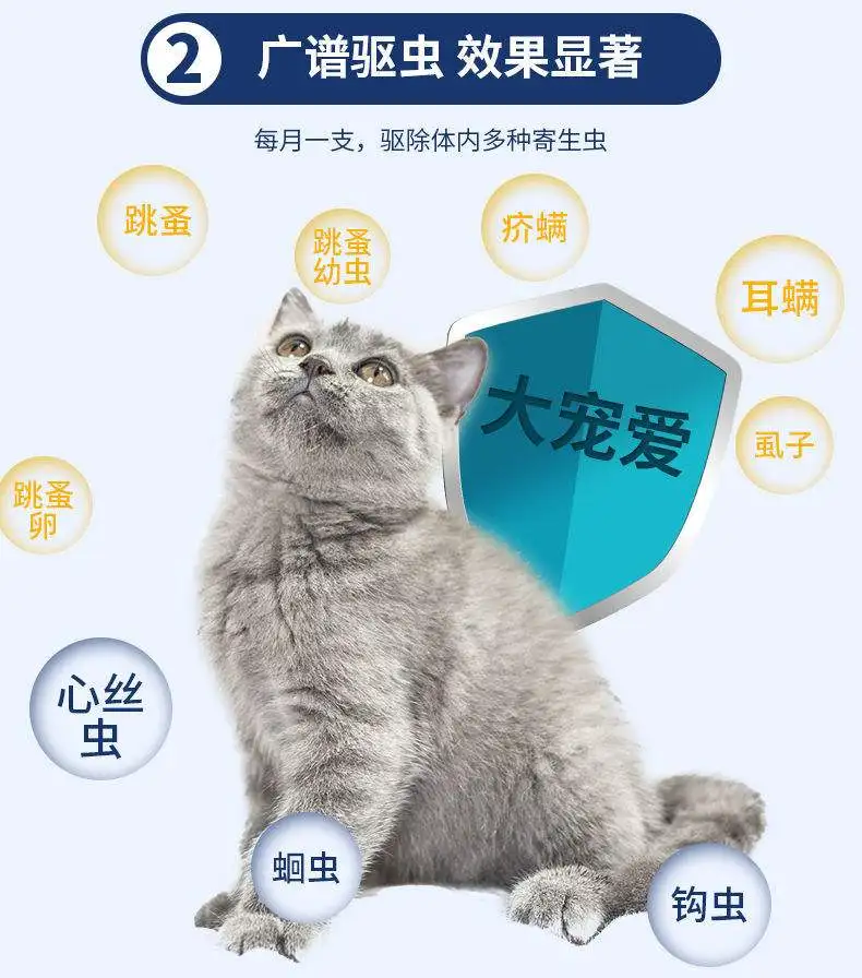 驱虫体内体外猫(体内外驱虫对猫有害处吗?)