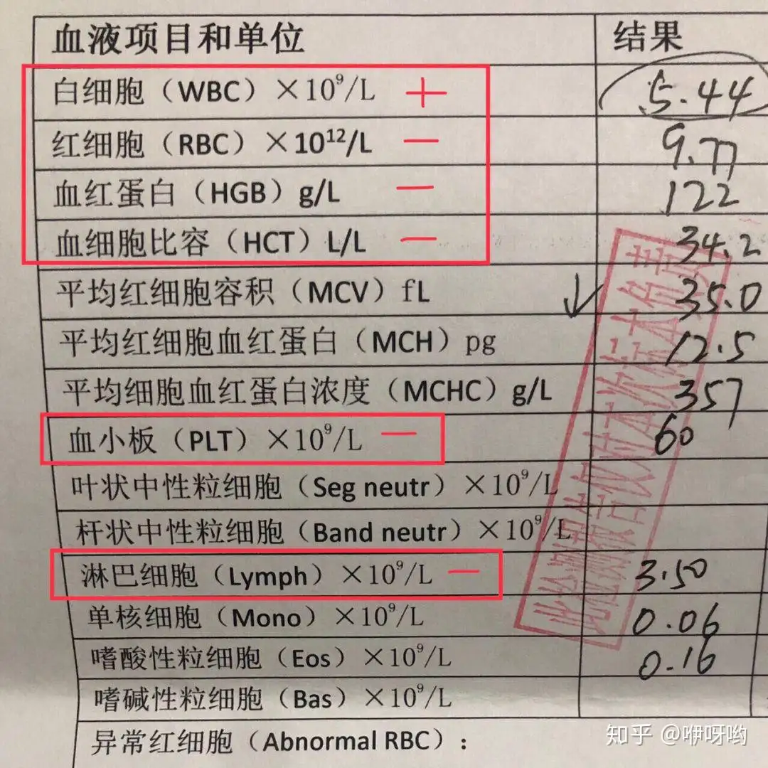 猫传腹的fsaa数值(fsaa数值23严重吗猫)