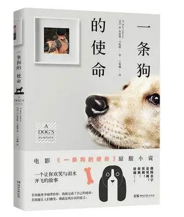 忠犬八公小说作者(忠犬八公是小说改编的吗)