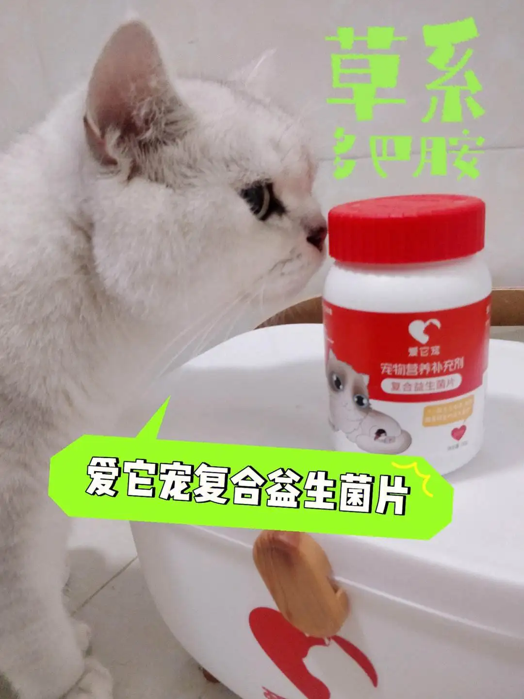 猫先拉稀后便秘(猫咪先拉稀然后大便失禁怎么办)