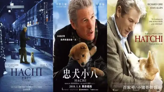 日本版忠犬八公的故事(日本版忠犬八公的故事免费观看)