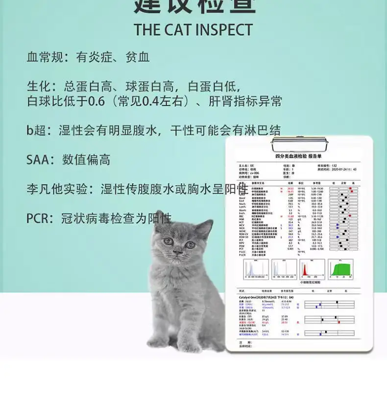 猫传腹pcr多少钱(猫传腹pcr检查多少钱)