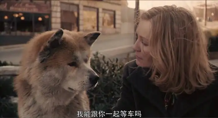 忠犬八公的故事美版下载(忠犬八公的故事美版在线观看)