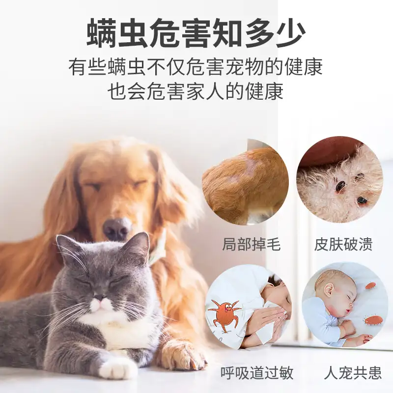 宠物猫狗驱虫(猫狗驱虫药多少钱?能用一样的吗?)