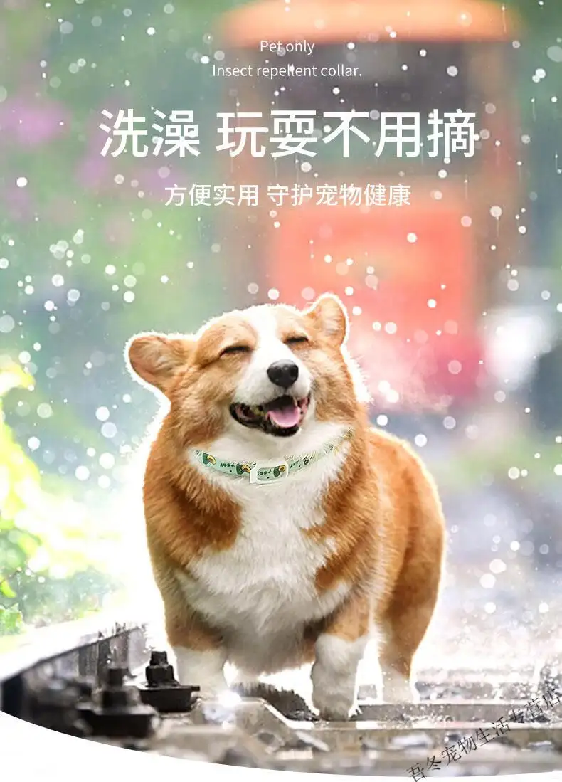 狗狗驱虫圈(狗狗驱虫圈用了,还要吃驱虫药吗)