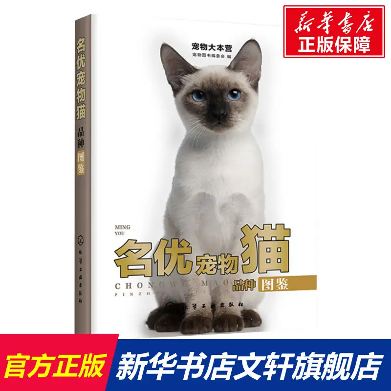 宠物猫种类价格(宠物猫价格及品种)