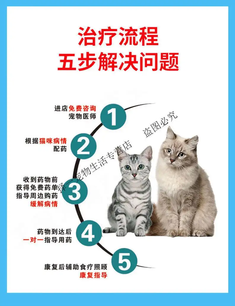 猫传腹是如何传染的(猫传腹是怎么传染给别的猫的)