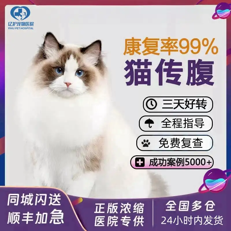 猫传腹会反复发作吗(猫传腹复发可能性高吗)