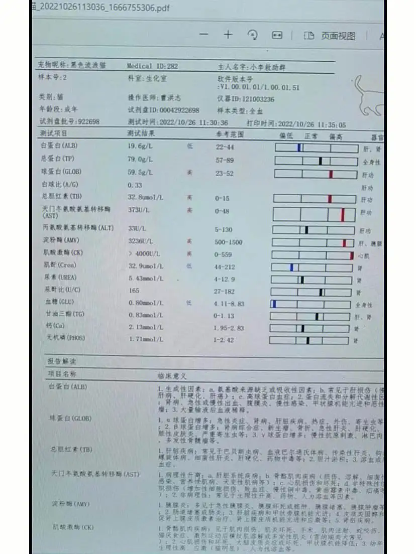 干性猫传腹确诊指标(干性猫传腹早期能确诊吗)